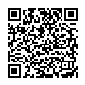 左手不知什么时候已经多了一柄猩红色的短匕首二维码生成