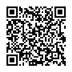 左腕却突然被一只像似铁钳一样的手死死抓了住二维码生成