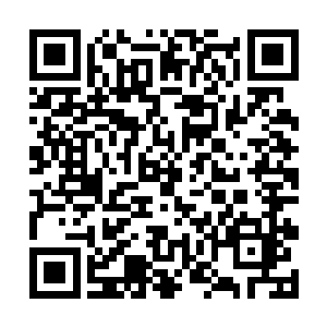 左言需要给那位喵神探争取一些重理叙述内容的时间二维码生成
