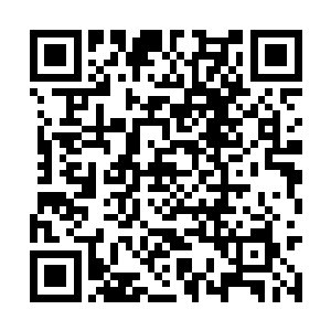 左边的三座高山后面活动着从虎山跟着过来的雪狼二维码生成