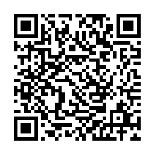 左边的叶修之和叶逸之两个小男孩手紧紧的拉在一起二维码生成