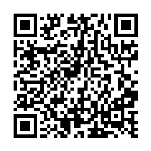 巨型石门却是因经受不住裂缝的扩大而轰然倒塌了下来二维码生成
