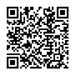 巨型鲶鱼尸兄和其他的众多鱼类尸兄奔向大江大海二维码生成