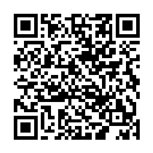 巨大刺耳的声响令得二十米外的弟子们再次双手捂住耳朵二维码生成