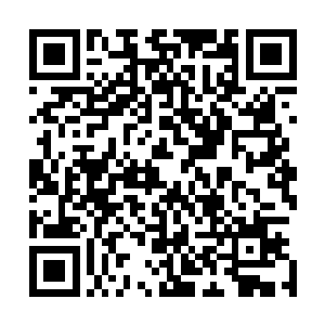 巨大的位阶差异造成的恐惧让它们根本无法萌生反抗的念头二维码生成