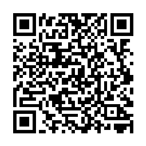 巨大的冲击力使得夜染和曲承泽两人迅速的朝后撞去二维码生成