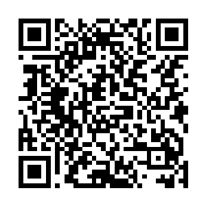 巨大的冲击力让大大的火堆上的带着火苗的木头四溅飞开二维码生成