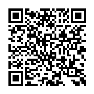 巨大的奖励告示牌已经无法容纳武道联盟的奖励二维码生成