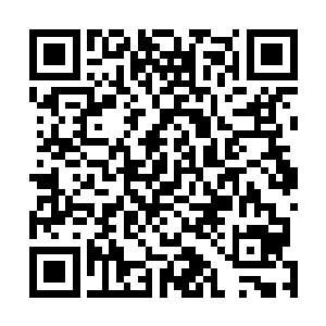 巨大的爆炸让原本身体就在颤抖的天冥派门主直接僵硬了二维码生成