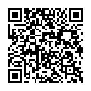 巨大的疼痛像是将他每条经脉都是撕碎而去一样二维码生成