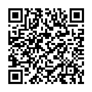 巨大的羽翼将史都华德老巢的防御巫阵整个撑开二维码生成