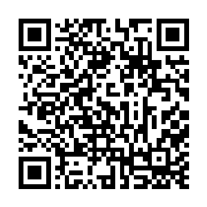 巨大的能量风暴在这一刹那从南离之疆朝着诸天百界回荡二维码生成