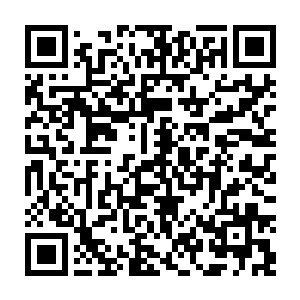 巨大的轰鸣之声与强烈的能量冲击便以龙宇为中心朝着四面八方冲了出去二维码生成