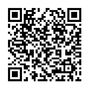 巨大的鹰爪毫不留情地抓入海花社巫师的胸膛当中二维码生成