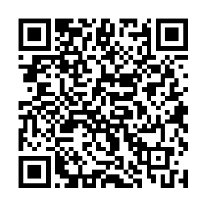 巨柱一般的一条大腿向着身在空中的许紫烟踩了过去二维码生成