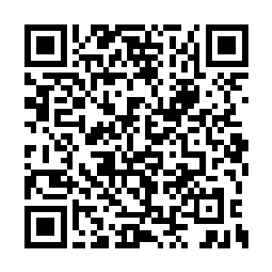 巨灵兽他们所在的山峰就位于四座高峰的正中央二维码生成