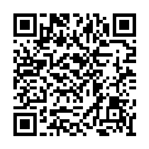 巨神兵的感应晶片就相当于是驾驭者的神经末梢二维码生成