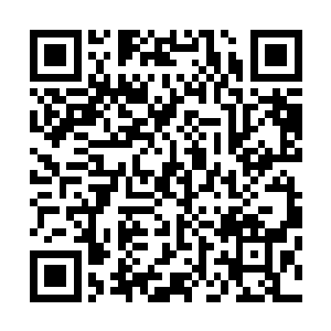 巨蛇教会在主物质世界的信仰很快就迎来了一次巨大的发展二维码生成