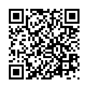 巨蟒和野猪虚化的身形在失去能量的支撑下二维码生成