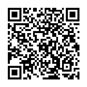 巨蟒和野猪身上笼罩的一层白光在熊的啃食下渐渐暗淡二维码生成