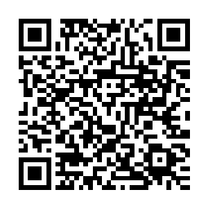 巨象仙宗宗主象启天率领全宗金仙境以上的弟子合力催动的玉瓶二维码生成