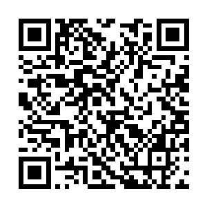 巨象仙宗的余下五大老祖脸色则纷纷变成了猪肝色二维码生成