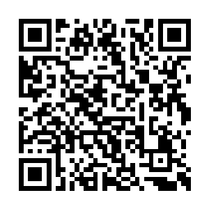 巨阳仙尊阻止方源获取天道梦境的心意十分坚决二维码生成