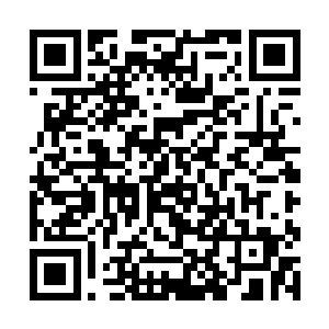 巨龙宫还有五毒教的三位先后都被秦宇两人灭杀掉了二维码生成