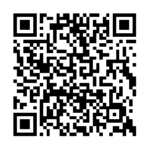 巨龟身体上浮现出一道光芒飘浮在了叶然的身前二维码生成