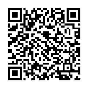巩固第一次的数字之后又把数字的范围扩大到了一百二维码生成
