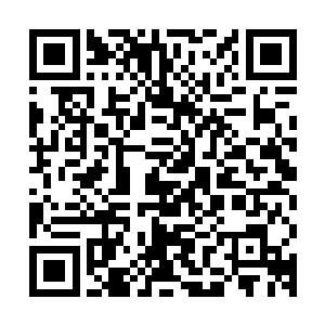 巩昌华一边看着正在梳妆打扮兴奋得像要出席啥国宴一般的老婆二维码生成