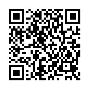 巫咒术将此碎片复制到自己的众生林小树之上二维码生成