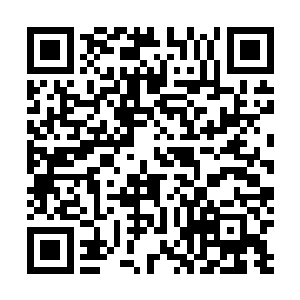 巫妖对她使用的定身咒语似乎不属于任何已知法术的范畴二维码生成