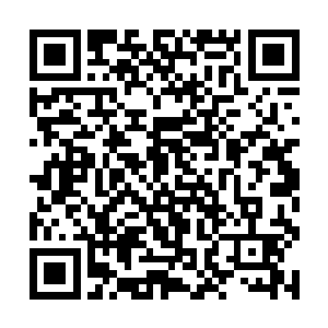 巫术抗性都达到了巅峰的杀戮机器带领众人大杀特杀二维码生成
