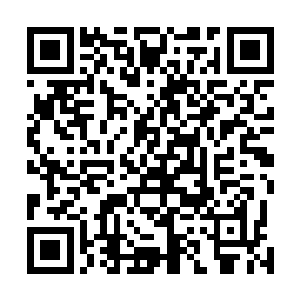 巫行云和几个化神初期修士一下子跟着张潇晗飞上了半空二维码生成