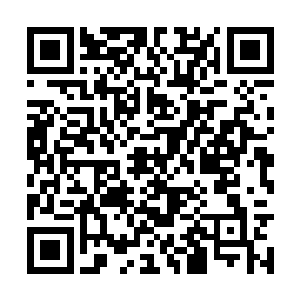 巫马炎和诸多狂熊部落的炼气士不顾一切冲了上去二维码生成