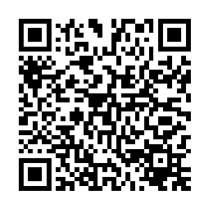 差不多五分之一的政fu官员涉及到了这一起特大的贪腐案当中二维码生成