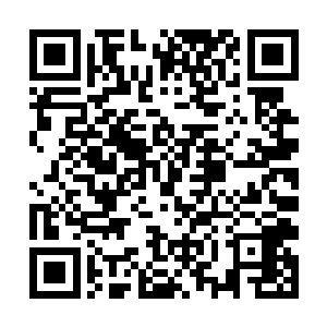 差不多把马文能找到的传奇强者全部都聚集在了一起二维码生成