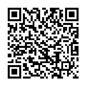 差不多等于是直接将赌场两个月的营业收入全都输了出去二维码生成