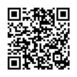 差点儿被一些很厉害的外国人给连窝端掉二维码生成