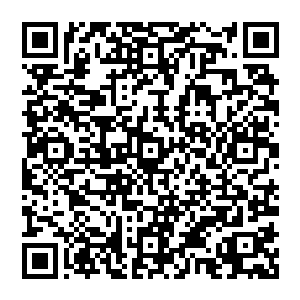 差点就使得国内名气最大粉丝数量最多也是唯一一支曾获得过lol世界冠军的中国战队w1分崩离析二维码生成