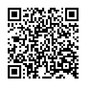 差点就让老子放手了……可最后还不是照样落到老子手里二维码生成