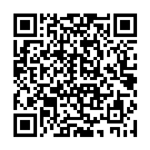 差点没将告诉她这个消息的侦探小能手莫飘给撕碎掉二维码生成