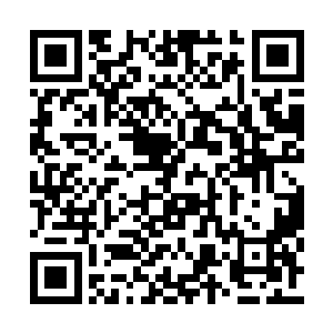 差点没把电梯里的男同胞看得眼珠子都要凸出来二维码生成