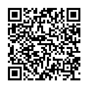 差点让天道忍不住的把墨丢到一边扑上去狠狠的啃上几口二维码生成