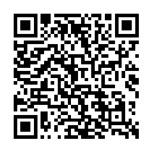 己经有一些人专门带着孩子从波士顿来看来皮球二维码生成