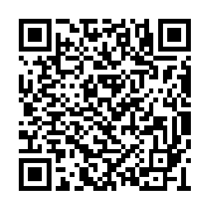 已有一名黑衣人发现了正在山中撒欢飞纵的二货二维码生成