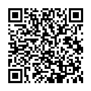 已然体弱的他仍旧是不依不饶地爬到了半山之上二维码生成