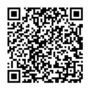 已然只剩下硕大龙头和小半截身躯还未落入混沌支点中的混沌中的卯荼二维码生成