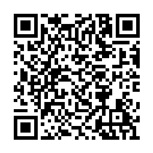 已然见识过奶奶指端迸射出的半黑半白流光威力二维码生成